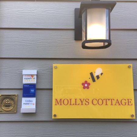 Mollys Cottage-The Suite On Vancouver Island Near Yyj Airport And The Wa And Bc Ferries North Saanich Kültér fotó