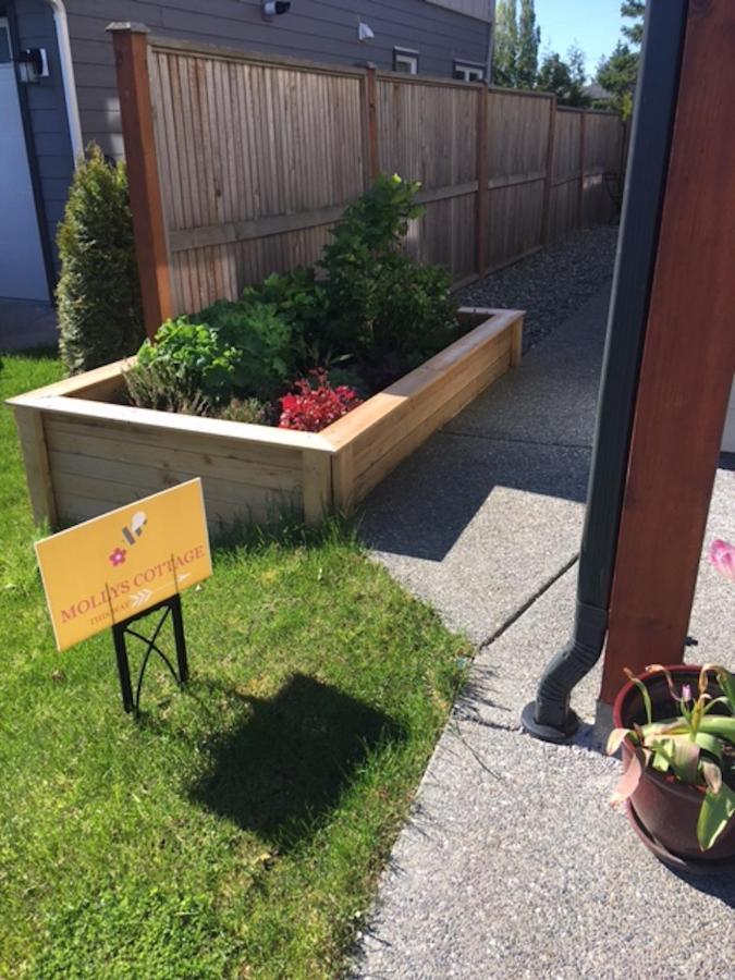Mollys Cottage-The Suite On Vancouver Island Near Yyj Airport And The Wa And Bc Ferries North Saanich Kültér fotó